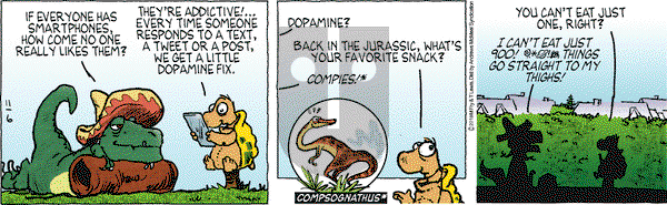 Over the Hedge on Wednesday November 6, 2019 Comic Strip