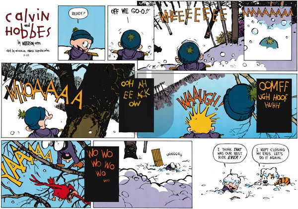 Calvin and Hobbes - Sunday February 22, 2015 Comic Strip