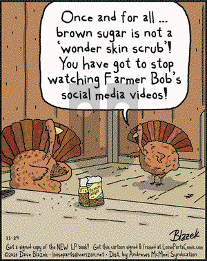 Loose Parts on Monday November 24, 2025 Comic Strip