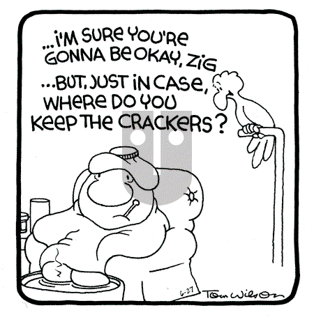 Ziggy - Thursday June 27, 1991 Comic Strip