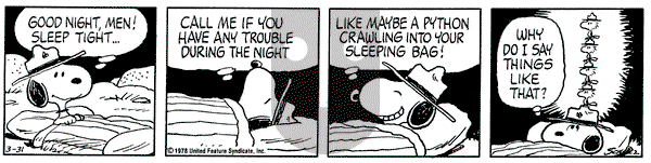 Peanuts on Friday March 31, 1978 Comic Strip