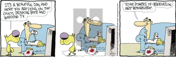 The Duplex on Thursday December 1, 2016 Comic Strip