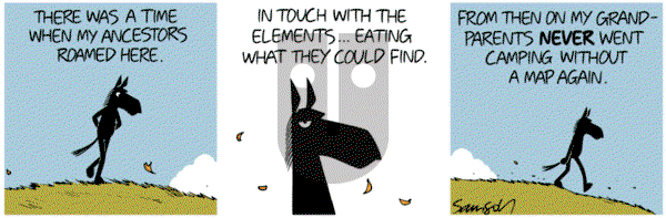 Dark Side of the Horse on Friday February 22, 2019 Comic Strip