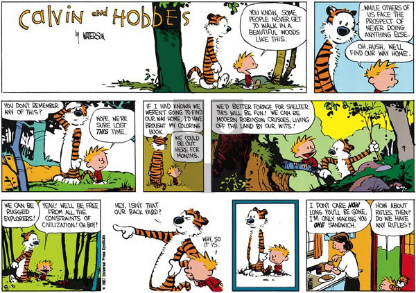 Calvin and Hobbes on Sunday September 6, 1987 Comic Strip