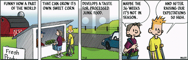 Frazz on Saturday July 12, 2025 Comic Strip