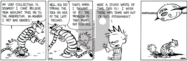 Calvin and Hobbes on Tuesday October 10, 1995 Comic Strip