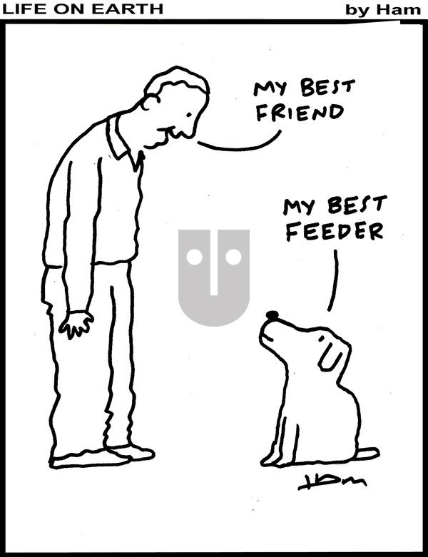 Life on Earth on Tuesday April 29, 2025 Comic Strip