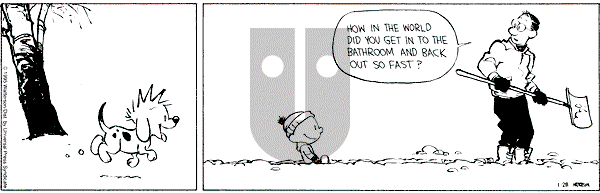 Calvin and Hobbes - Saturday January 28, 1995 Comic Strip