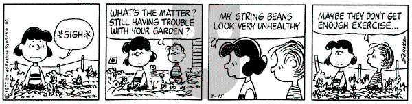 Peanuts on Friday July 15, 1977 Comic Strip