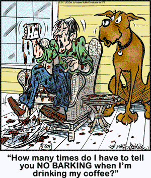 Marmaduke on Monday May 29, 2017 Comic Strip