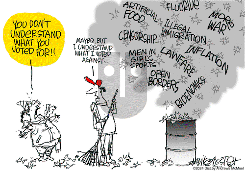 Mike Lester on Wednesday November 6, 2024 Comic Strip
