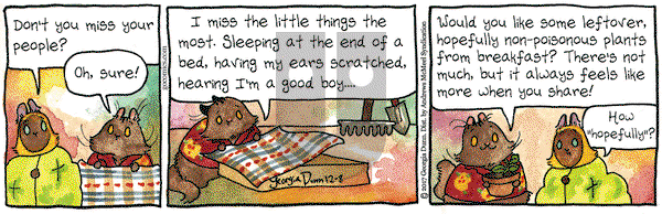 Breaking Cat News on Friday December 8, 2017 Comic Strip