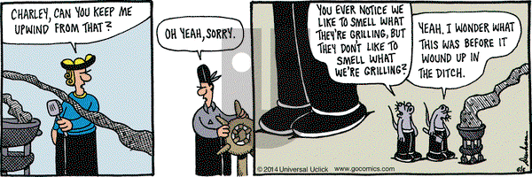 Overboard on Friday June 6, 2014 Comic Strip
