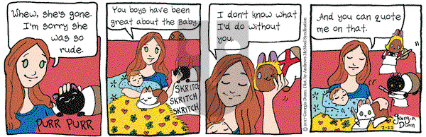 Breaking Cat News on Saturday July 22, 2017 Comic Strip