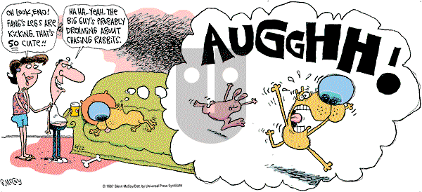 The Duplex on Sunday June 22, 1997 Comic Strip