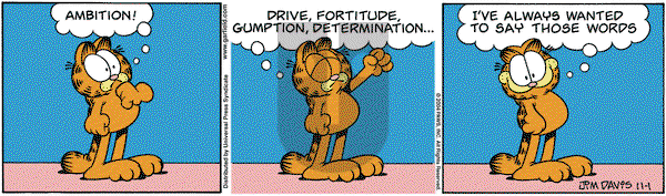 Garfield on Sunday January 2, 2005 Comic Strip