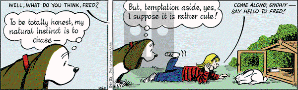 Fred Basset on Wednesday June 5, 2013 Comic Strip