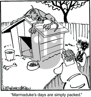 Marmaduke on Wednesday June 25, 2008 Comic Strip