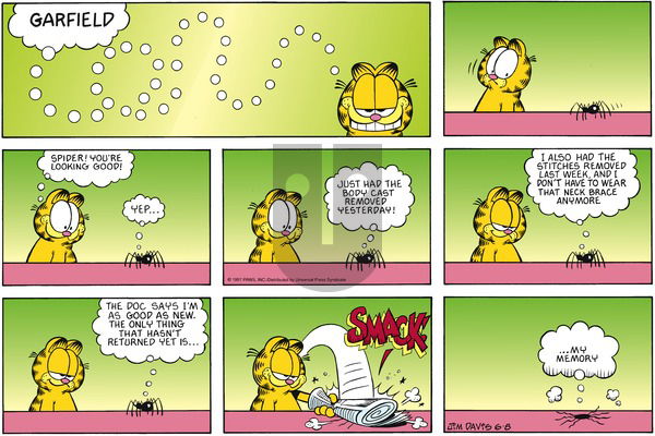 Garfield on Sunday June 8, 1997 Comic Strip