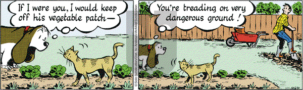 Fred Basset - Thursday August 25, 2022 Comic Strip