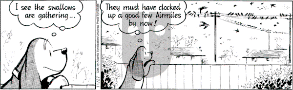 Fred Basset on Tuesday November 27, 2007 Comic Strip