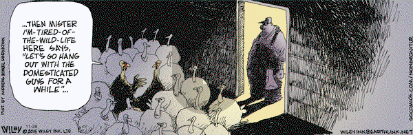 Non Sequitur on Thursday November 28, 2019 Comic Strip
