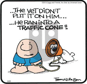 Ziggy - Wednesday May 22, 2013 Comic Strip