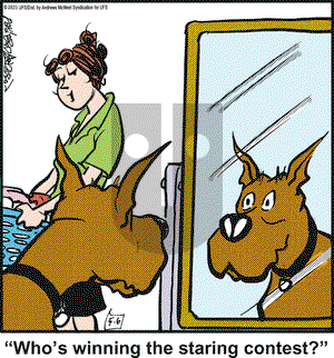 Marmaduke on Tuesday May 6, 2025 Comic Strip