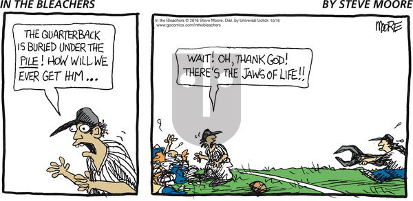 In the Bleachers on Sunday October 16, 2016 Comic Strip