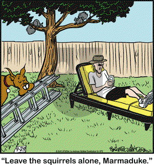 Marmaduke on Tuesday September 29, 2020 Comic Strip