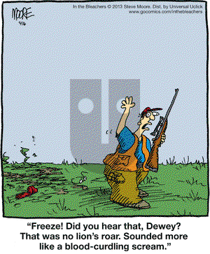 In the Bleachers on Saturday February 16, 2013 Comic Strip