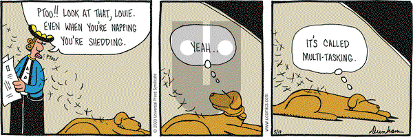 Overboard on Saturday May 17, 2003 Comic Strip