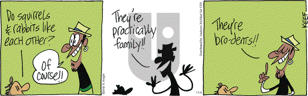 The Knight Life on Tuesday November 6, 2018 Comic Strip