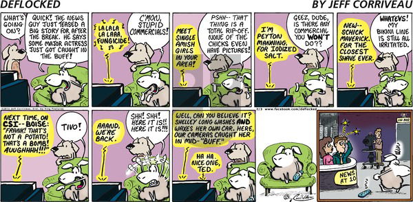 DeFlocked on Sunday February 3, 2013 Comic Strip