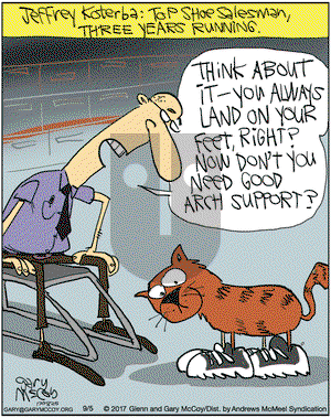 The Flying McCoys on Tuesday September 5, 2017 Comic Strip