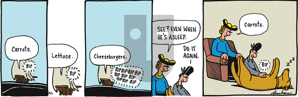 Overboard on Wednesday April 1, 2009 Comic Strip