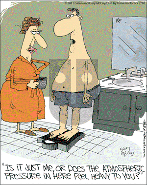 The Flying McCoys on Thursday February 10, 2011 Comic Strip