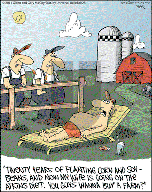 The Flying McCoys on Tuesday June 28, 2011 Comic Strip