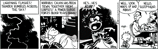 Calvin and Hobbes - Monday March 28, 1988 Comic Strip