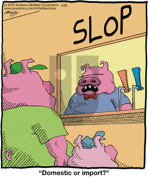 In the Bleachers - Thursday May 25, 2023 Comic Strip