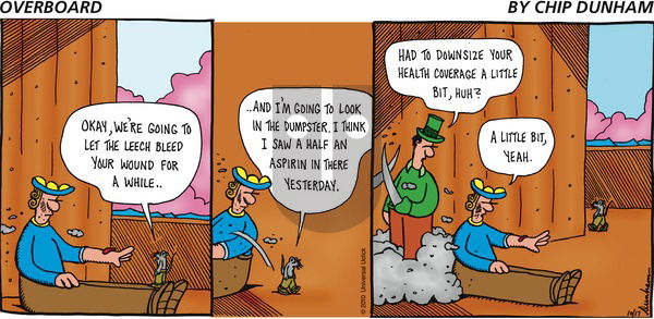 Overboard on Sunday October 17, 2010 Comic Strip