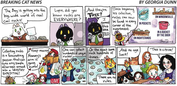Breaking Cat News - Sunday January 2, 2022 Comic Strip