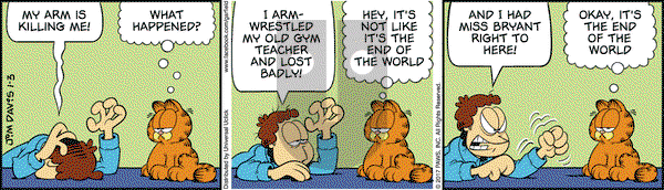 Garfield on Tuesday January 3, 2017 Comic Strip
