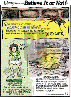Ripley's Believe It or Not on Friday January 2, 2015 Comic Strip