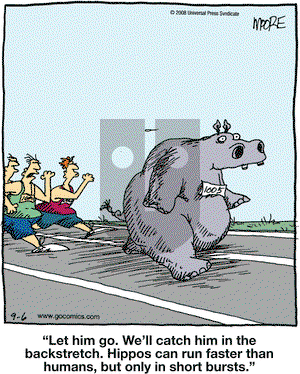 In the Bleachers on Saturday September 6, 2008 Comic Strip