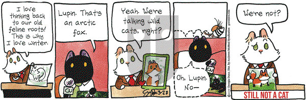 Breaking Cat News on Thursday March 28, 2019 Comic Strip