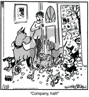 Marmaduke on Thursday December 23, 2004 Comic Strip