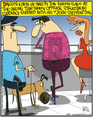 The Flying McCoys on Wednesday April 29, 2020 Comic Strip