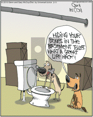 The Flying McCoys on Wednesday March 11, 2015 Comic Strip
