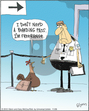 The Flying McCoys on Monday November 26, 2012 Comic Strip